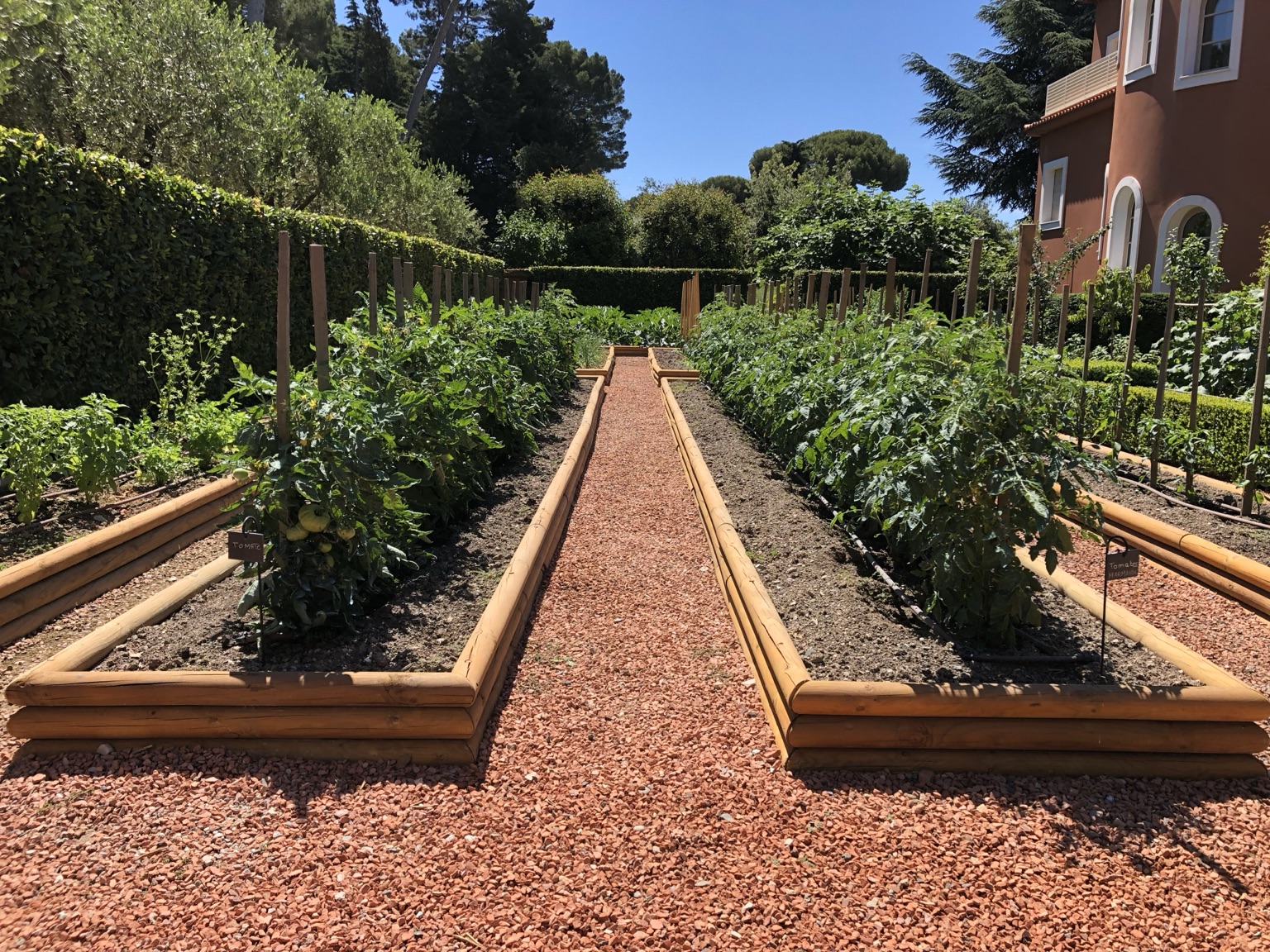 Potager aménagé